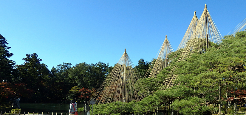 温泉プラン